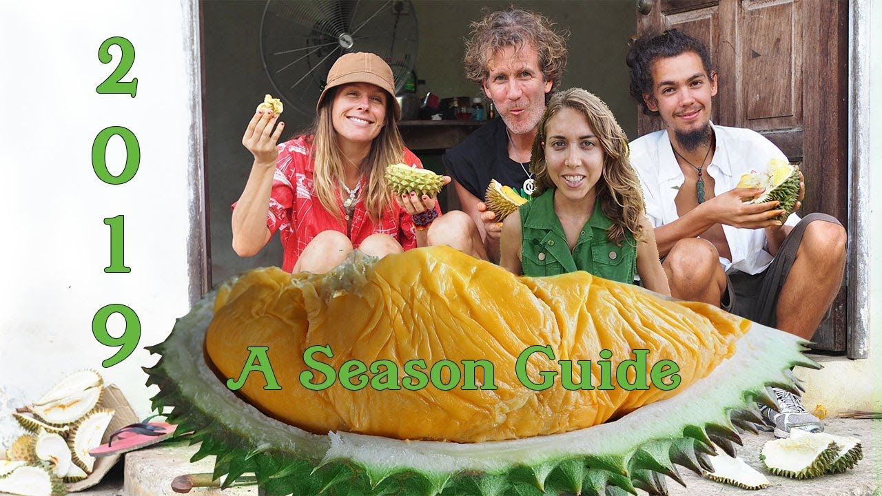 2019 Malaysia Durian Season Forecast and Travel Guide 😋✈🌴