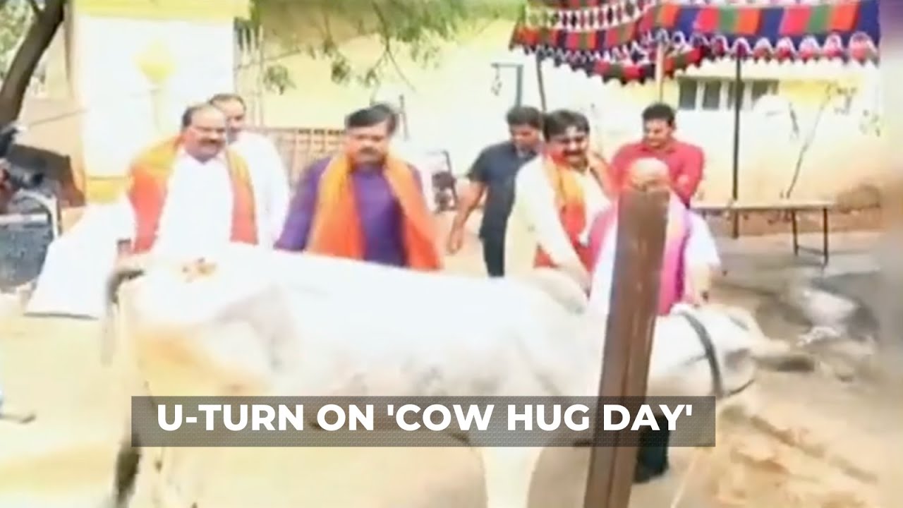 Valentines Day: Animal Welfare Board of India withdraws appeal to celebrate Feb 14 as 'Cow Hug Day'