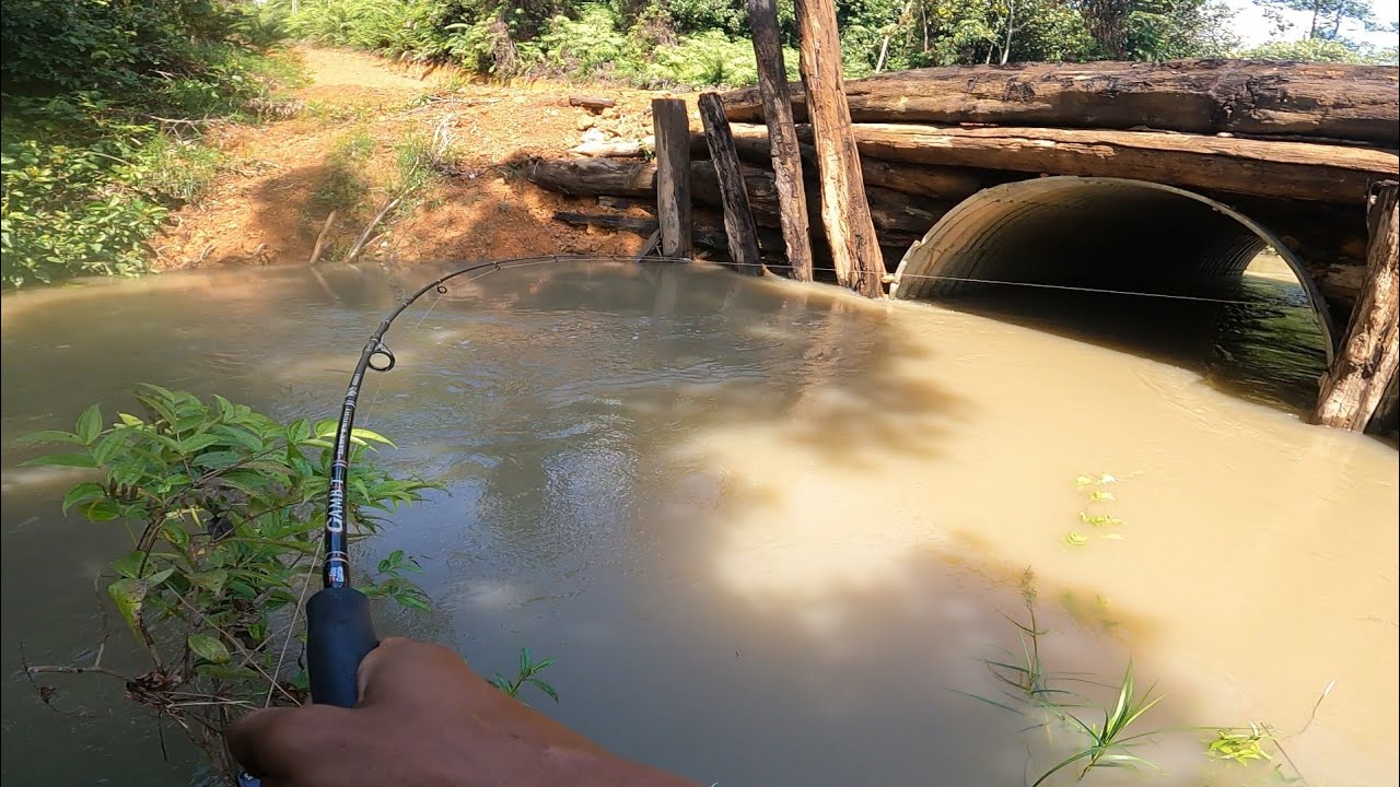 SANGAT JUMBO IKAN DI DALAM TROWONGAN BESAR 😱MANCING HAMPALA DI SUNGAI KERUH