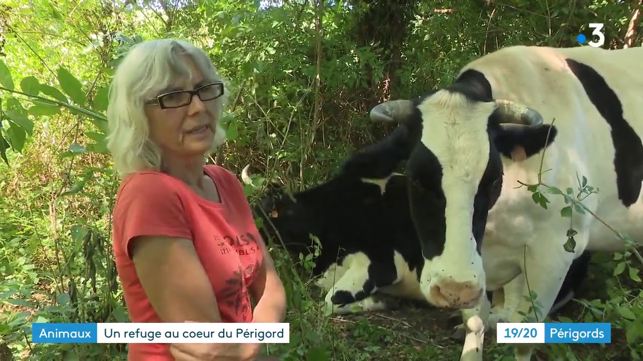Mudita sanctuary : un refuge pour les animaux à Saint-Julien-de-Crempse