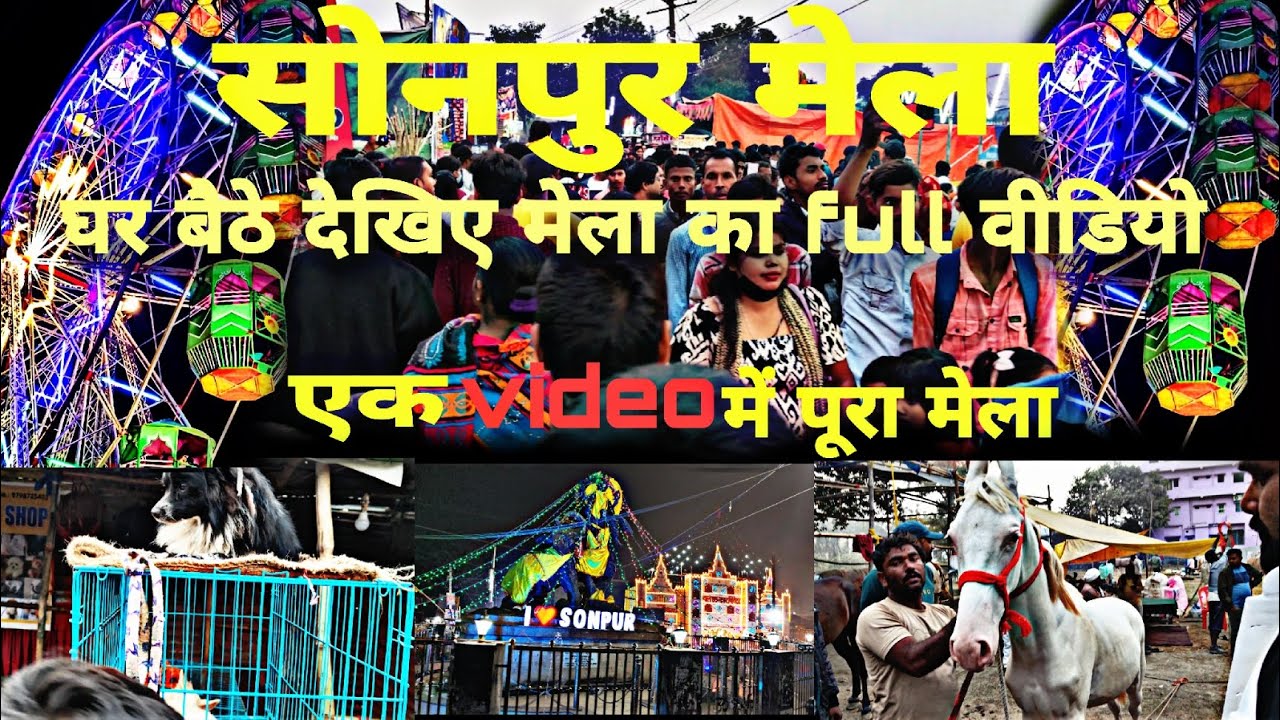Sonpur Mela 2024 Full video || sonpur me एक करोड़ का घोड़ा मेला में आ गया 😱  || भीड़ ही भीड़ 😱