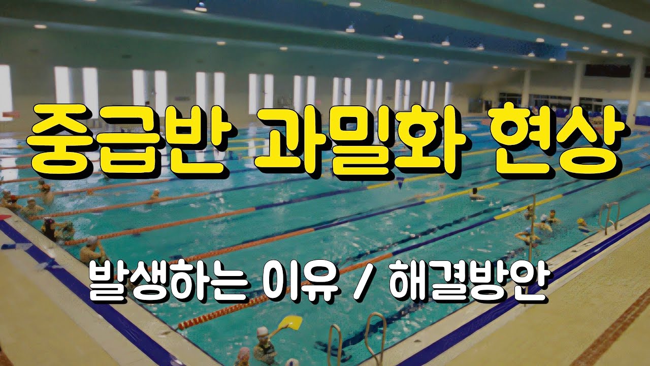수영장 중급반에 사람이 많은 이유를 알아보자!