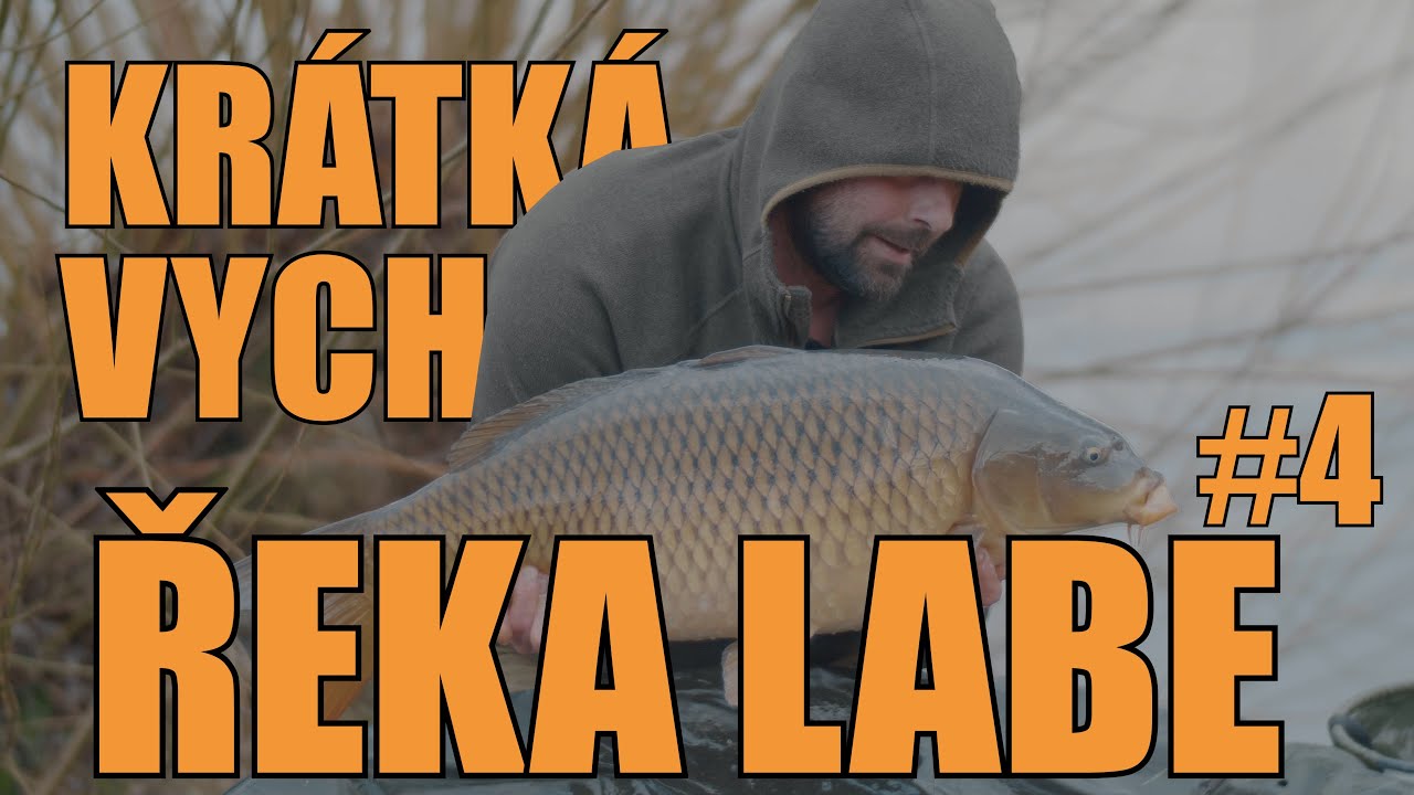 KRÁTKÁ VYCHÁZKA #6 K ŘECE LABE