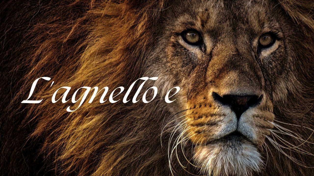 L'agnello e il Leone (COVER)