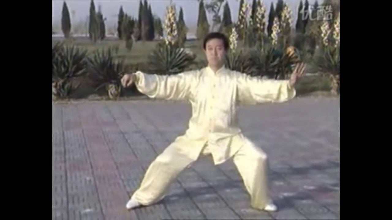 Chen Zheng Lei - Xinjia Yi Lu --Chen Taijiquan 83 and 18
