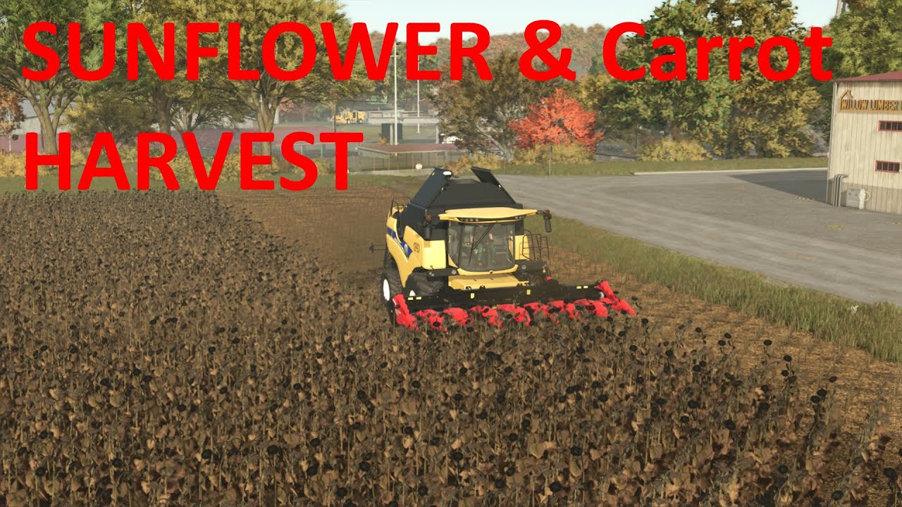 HARVESTING SUNFLOWER & CARROTS🔥🚜l Riverbend Springs Timelapse FS25 l Ep.149