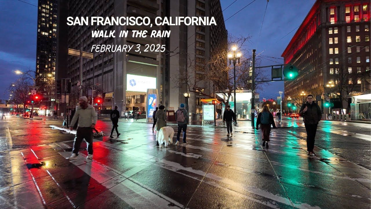Walk in the Rain (San Francisco, California February 4, 2025)