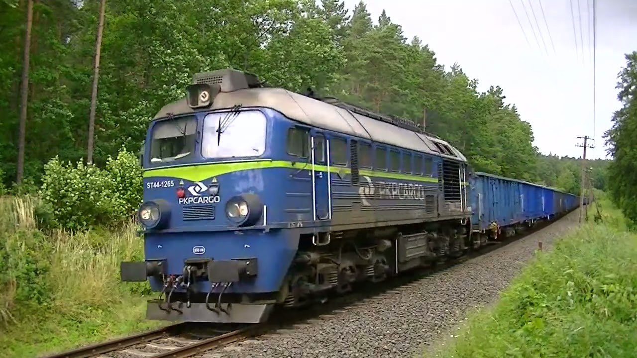 ST44-1265  na Magistrali Węglowej D29-201 15.07.2022 Babi D&oacute;ł  / Taigatrommel in Polen diesel loco