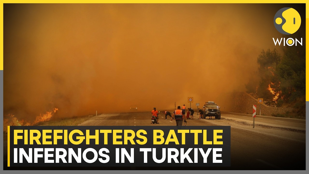Europe Wildfires: Turkiye Battles Wind-Fuelled Wildfires Near Tourist Hotspots | WION