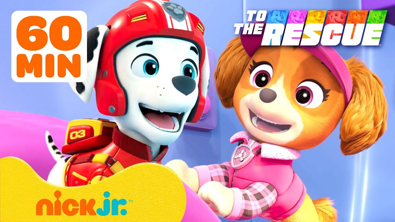 PAW Patrol | Eltern helfen mit! 💗 60 Minuten Freundschaft | Nick Jr. Deutschland