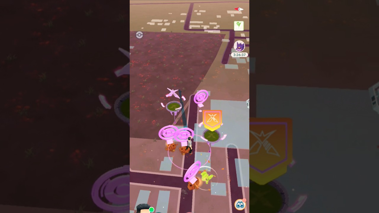 Kecleon Visual Bug after catching it with Fast Catch Technique