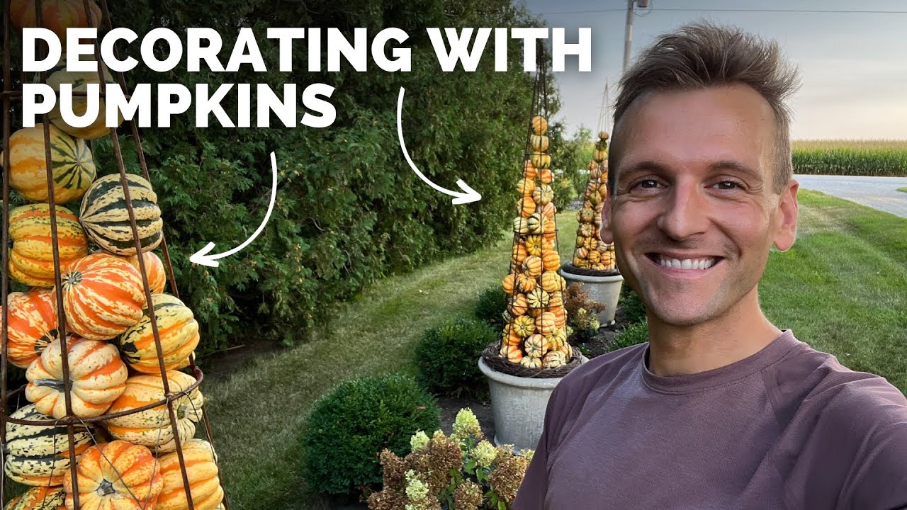 Decorating with Pumpkins Around the Garden | Some early fall tasks and decorations!