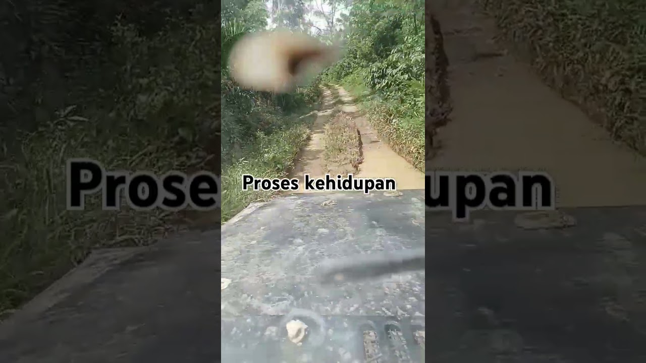 Proses kehidupan #motivasi #quotes #katabijak #motivasihidup #motivasiharianku