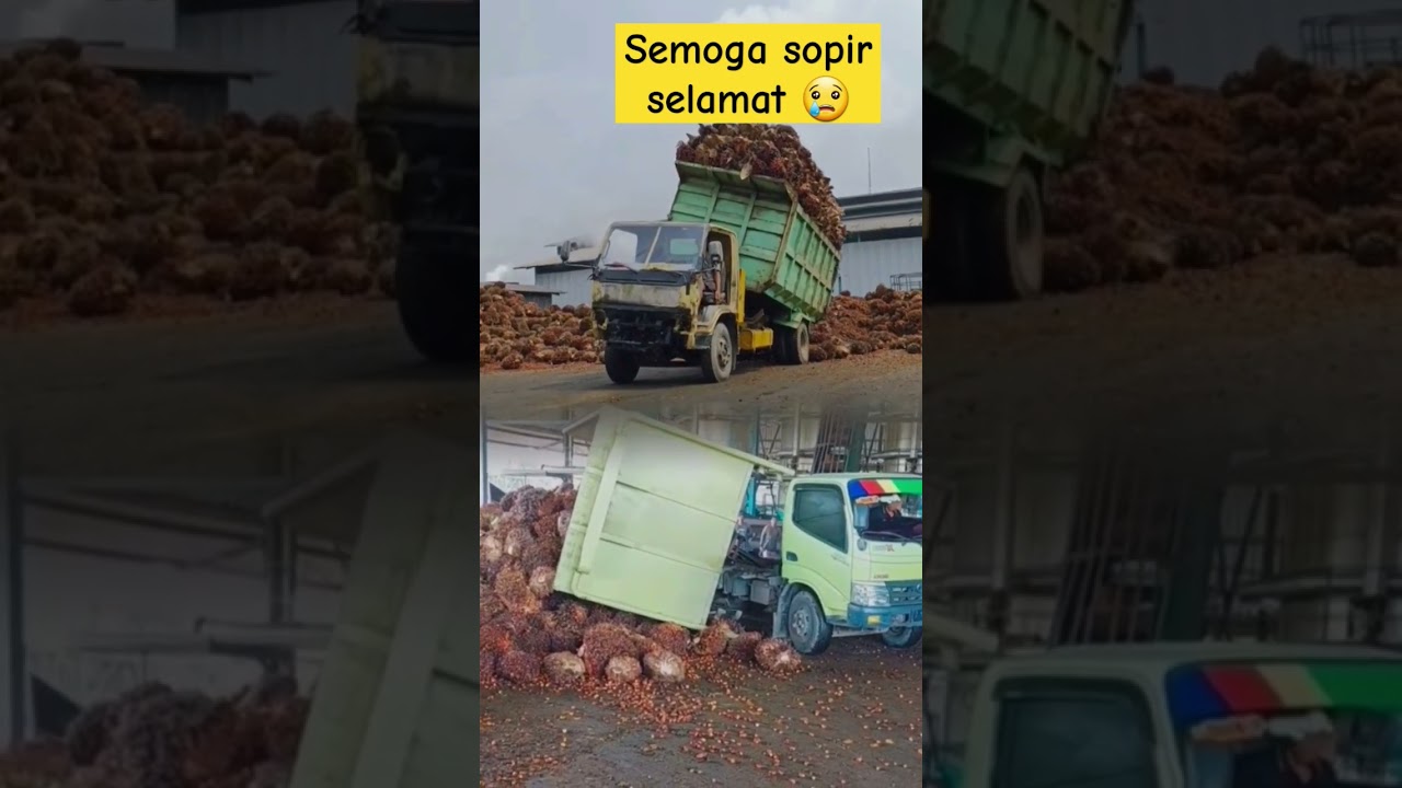 truk oleng saat bongkar sawit #truk #trukoleng #trukmania