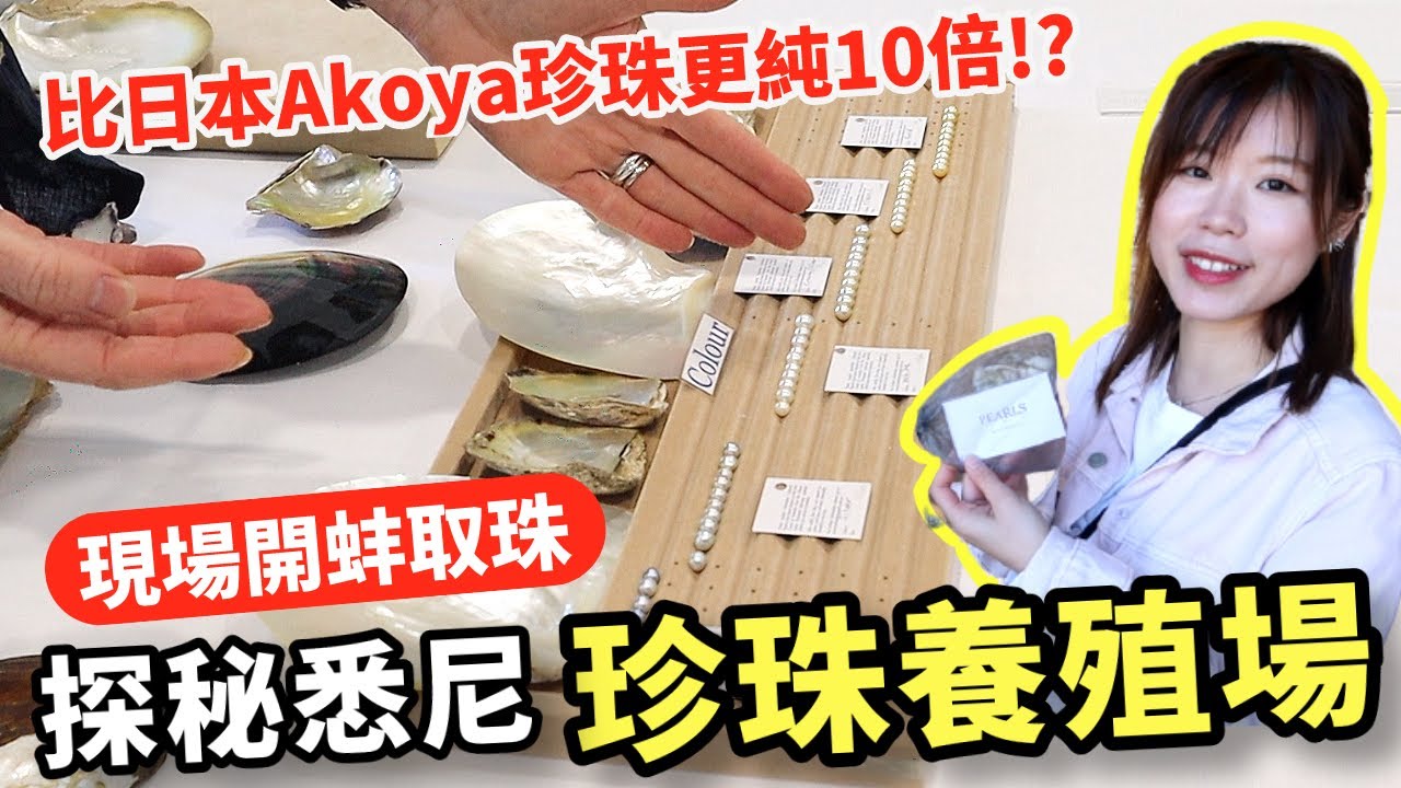 探秘悉尼珍珠養殖場！悉尼也有Akoya珍珠？比日本Akoya珍珠純度還要高10倍？Broken Bay Pearl Farm遊船、珍珠鑑定觀光行程