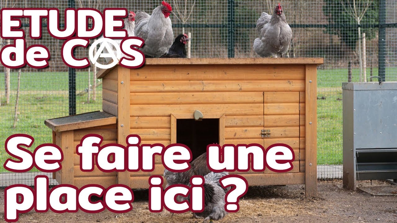Se sentir mal au travail | Étude de cas