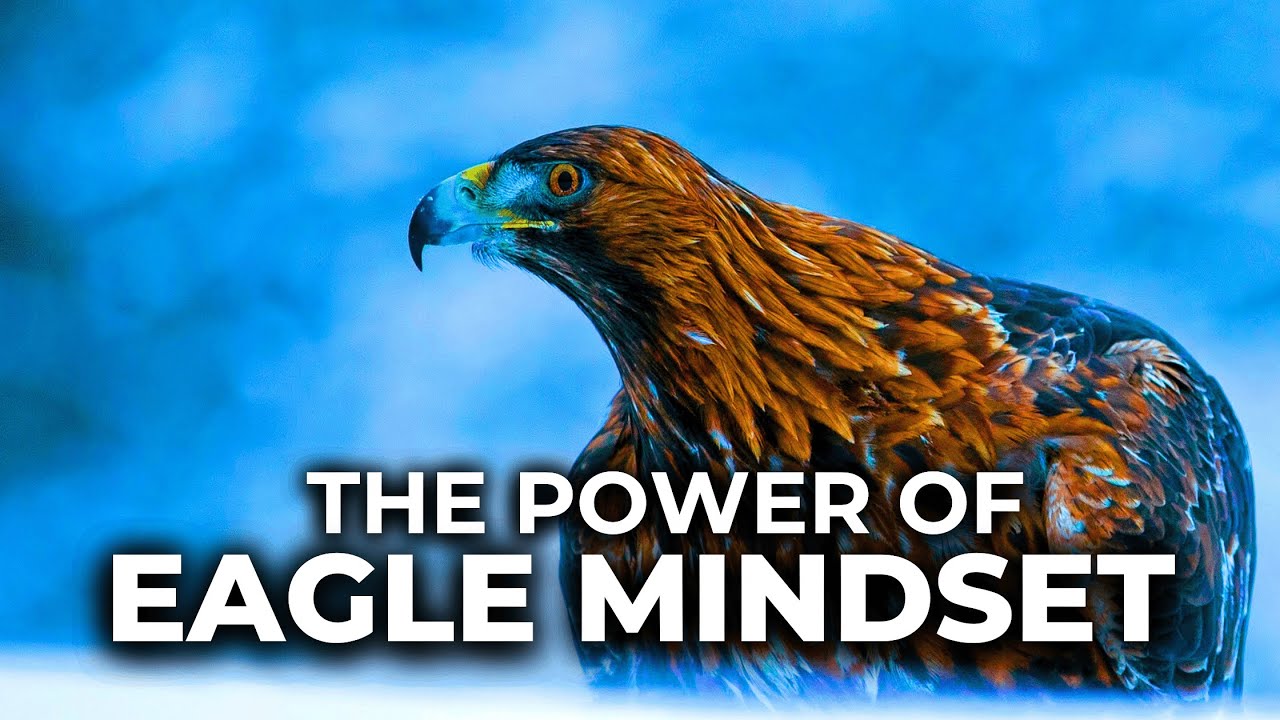 Eagle Mindset - 7 Life Changing Lessons | Best Motivational video By Titan Man