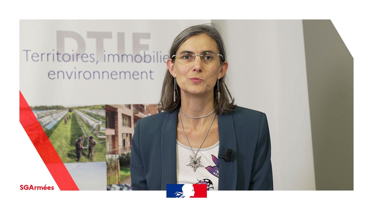Interview de Sylviane Bourguet, directrice de la DTIE