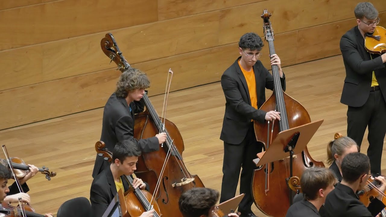 Adiós Nonino - Astor Piazzolla | Fran Català & Camerata La Stravaganza