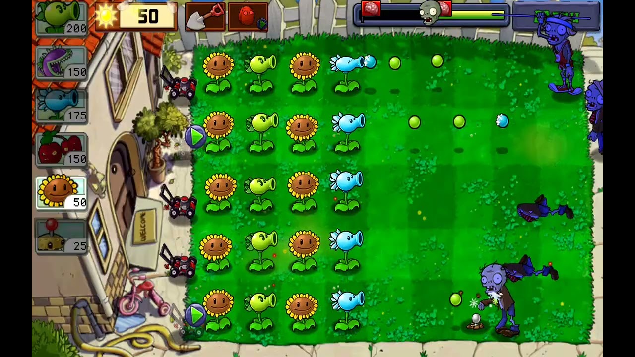 Pvz 1 Day level 9 (no lawn mower)