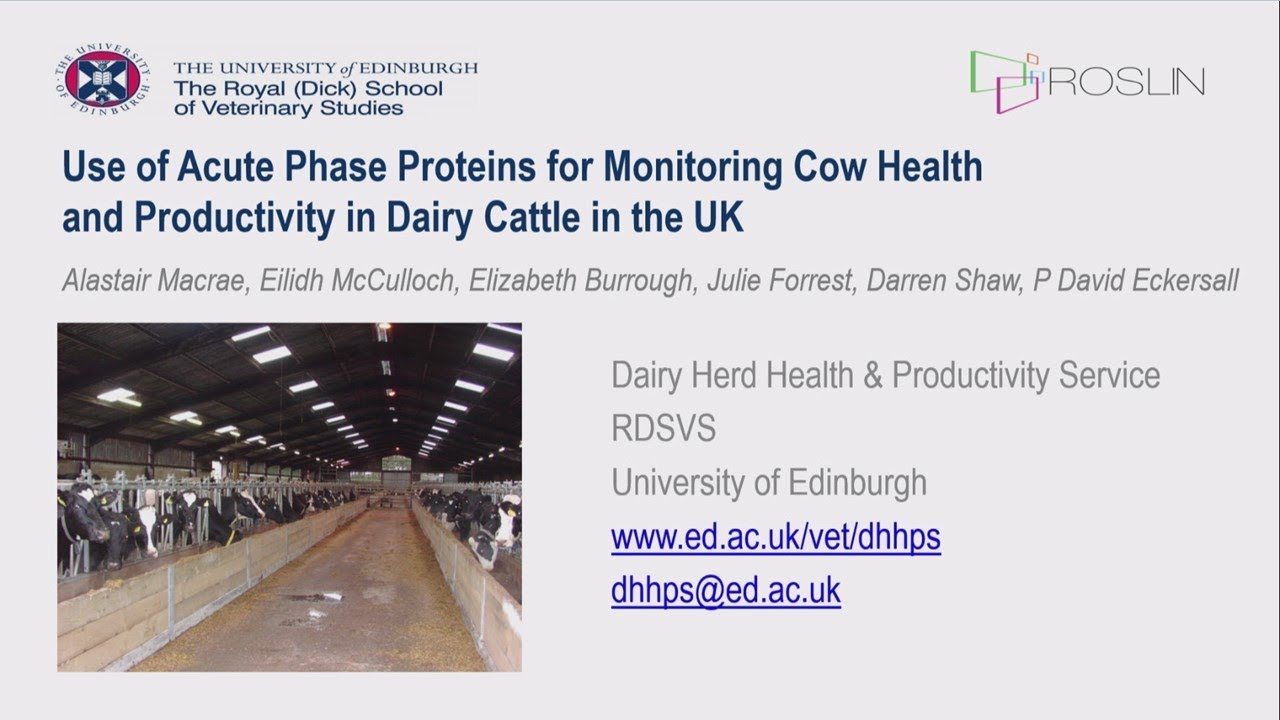 Use of Acute Phase Proteins for Monitoring Cow Health and Productivity in Dairy Cattle in the UK