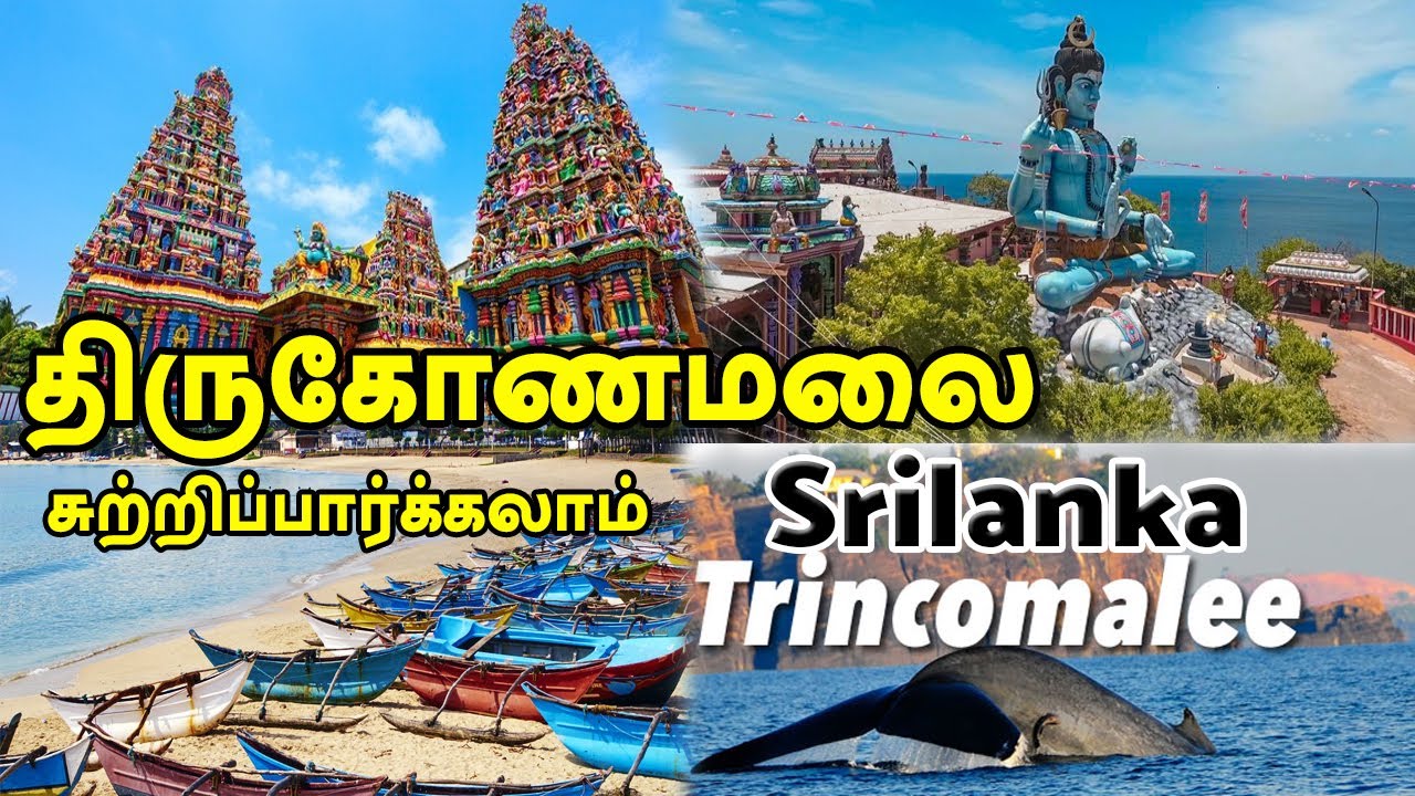 Trincomalee thirukonesvaram | trincomalee city | Srilanka best places in tamil