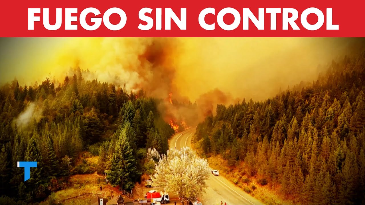 Patagonia en llamas: Chubut vive la peor tragedia ambiental en 20 años