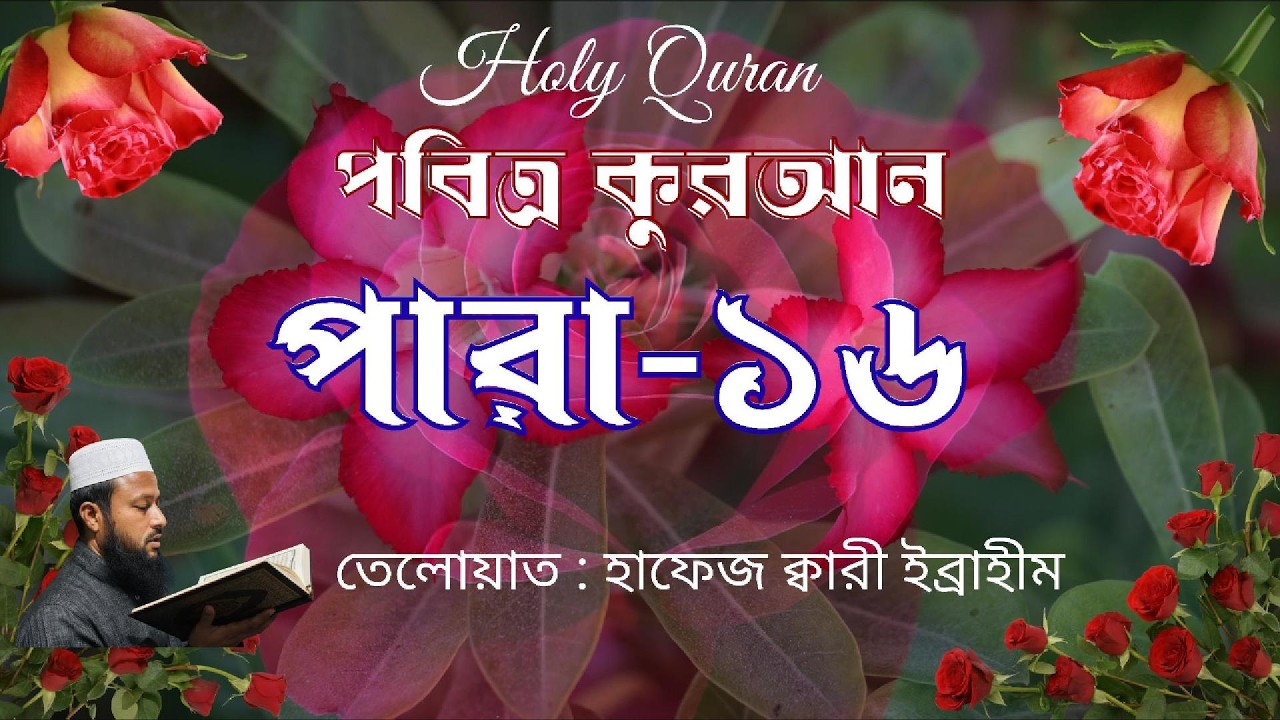 Para 16, পারা -১৬, Recitation: Hafiz Qari Ibrahim #কুরআন_তিলাওয়াত  #কুরআন #তিলওয়াত  #ইসলামিক_ভিডিও