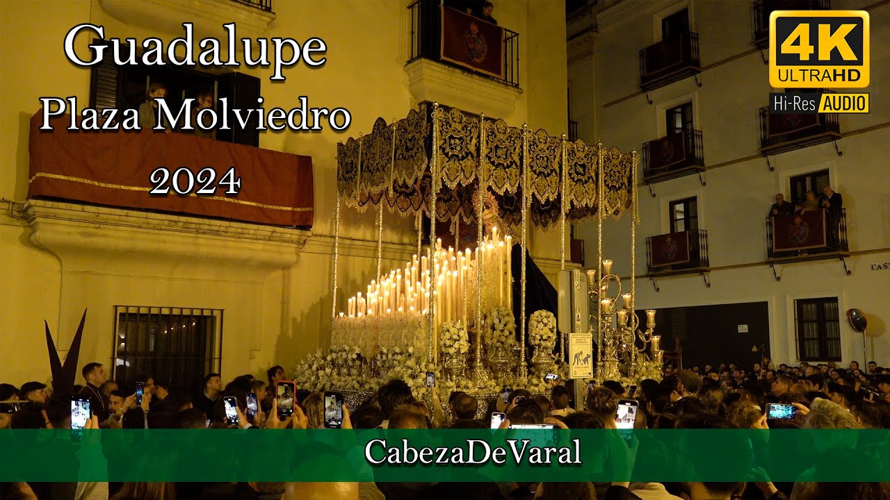 VIRGEN DE GUADALUPE SEVILLA 2024 PLAZA MOLVIEDRO