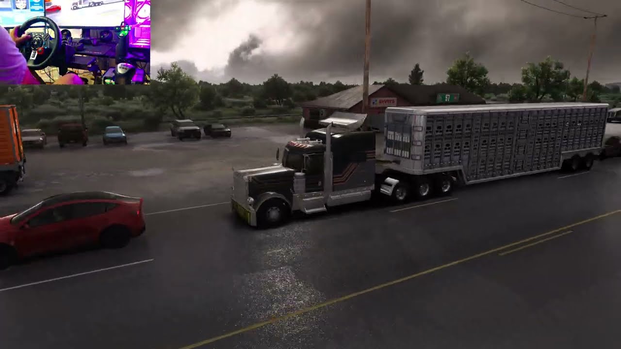Reto de Estacionamiento con Carga de Cerdos 🐷 | ATS 1.58 Peterbilt