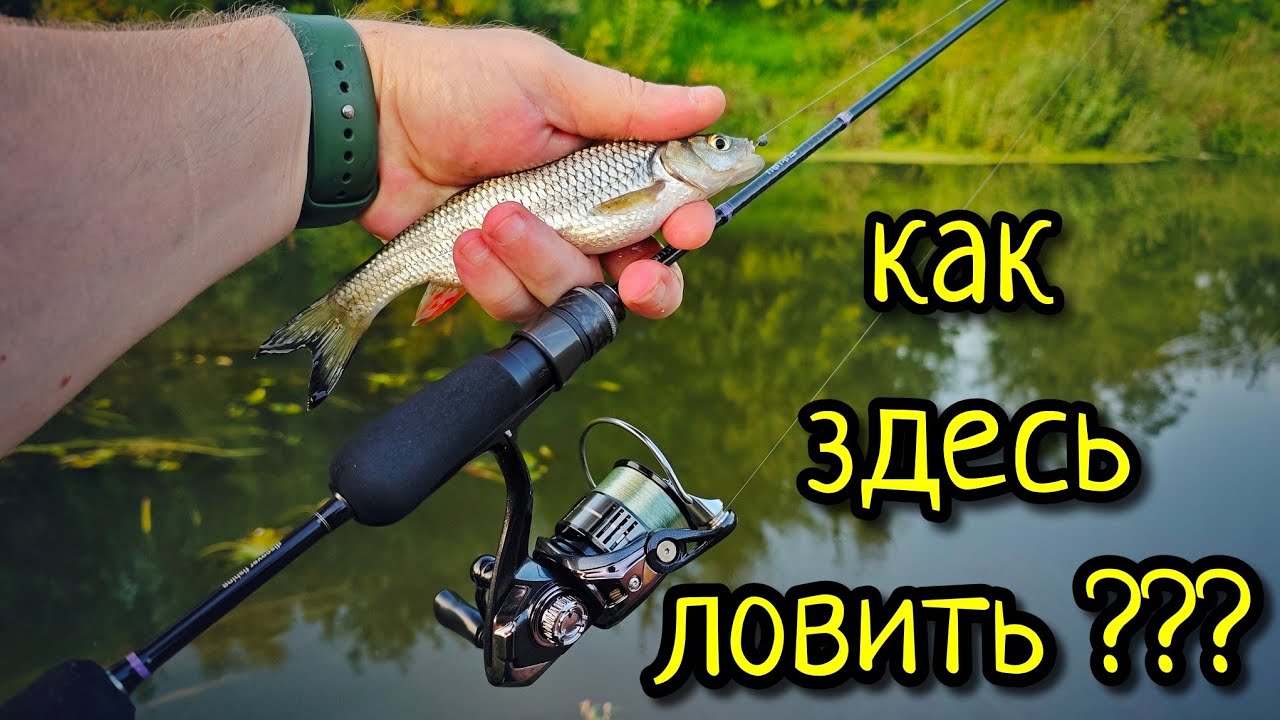 МОРМЫШИНГ, КОГДА ВСЁ ЗАРОСЛО !!! КАТУШКА ДЛЯ МОРМЫШИНГА NAUTILUS FUKURU 2000SS, НАС ОПЯТЬ ОБМАНУЛИ ?
