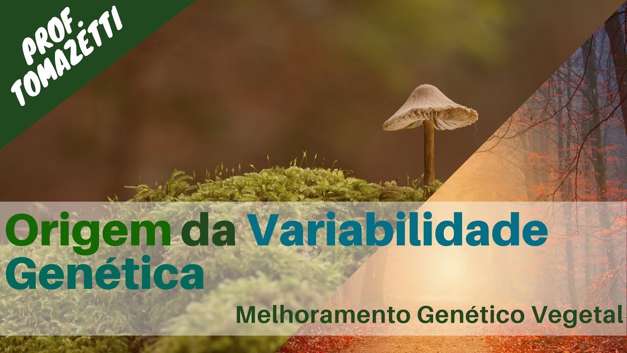 Origem da Variabilidade Genética | Melhoramento Genético Vegetal UFSC