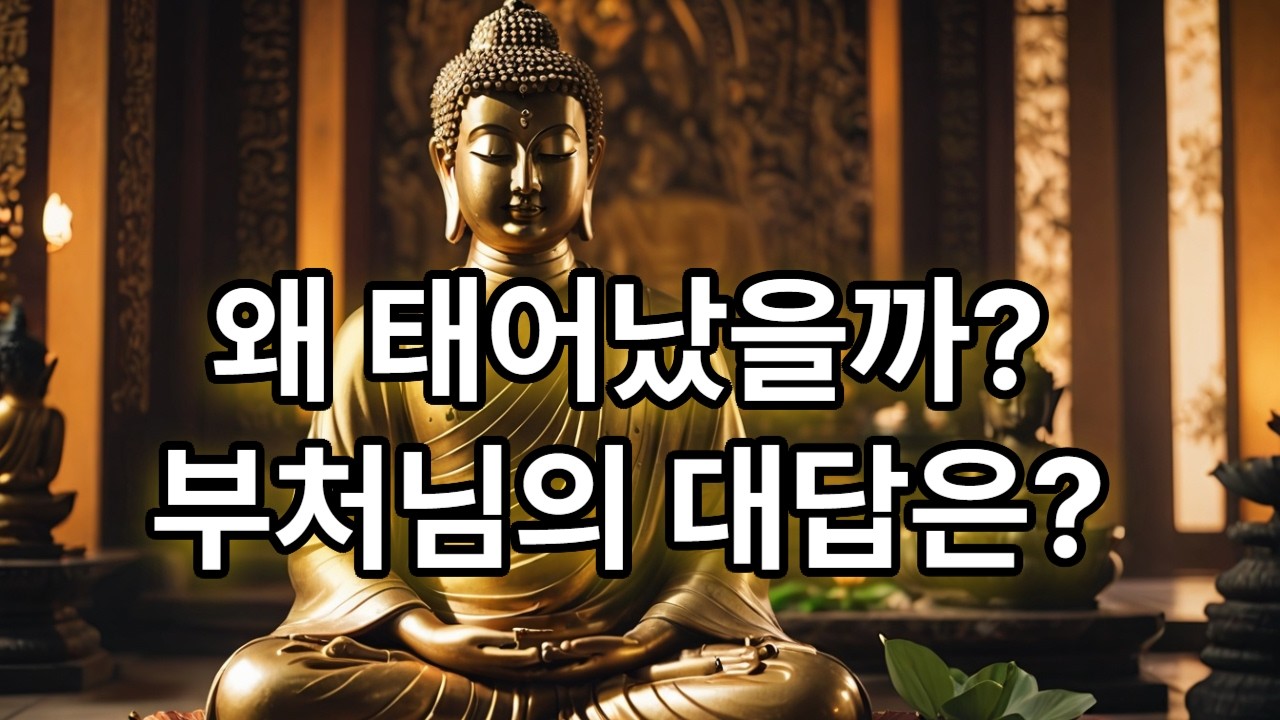왜 태어났을까? 부처님의 대답은?(116)