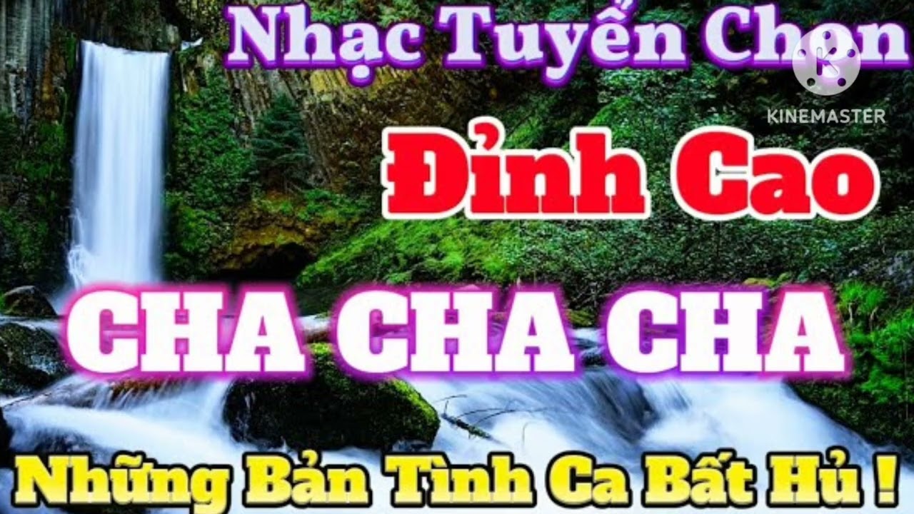 LK organ cha cha cha thái 2026 Sóc sờ bai sóc trăng