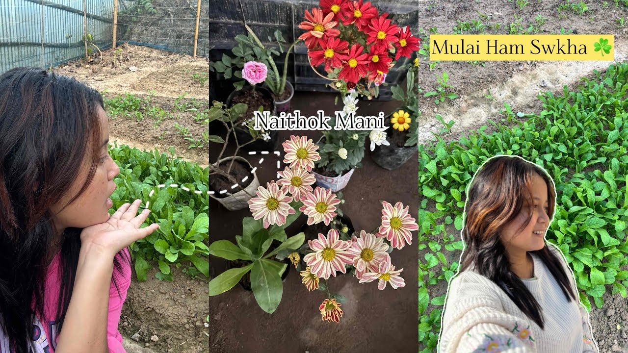 Khum Naithok Naithok🌷//@Alishavlogs11 