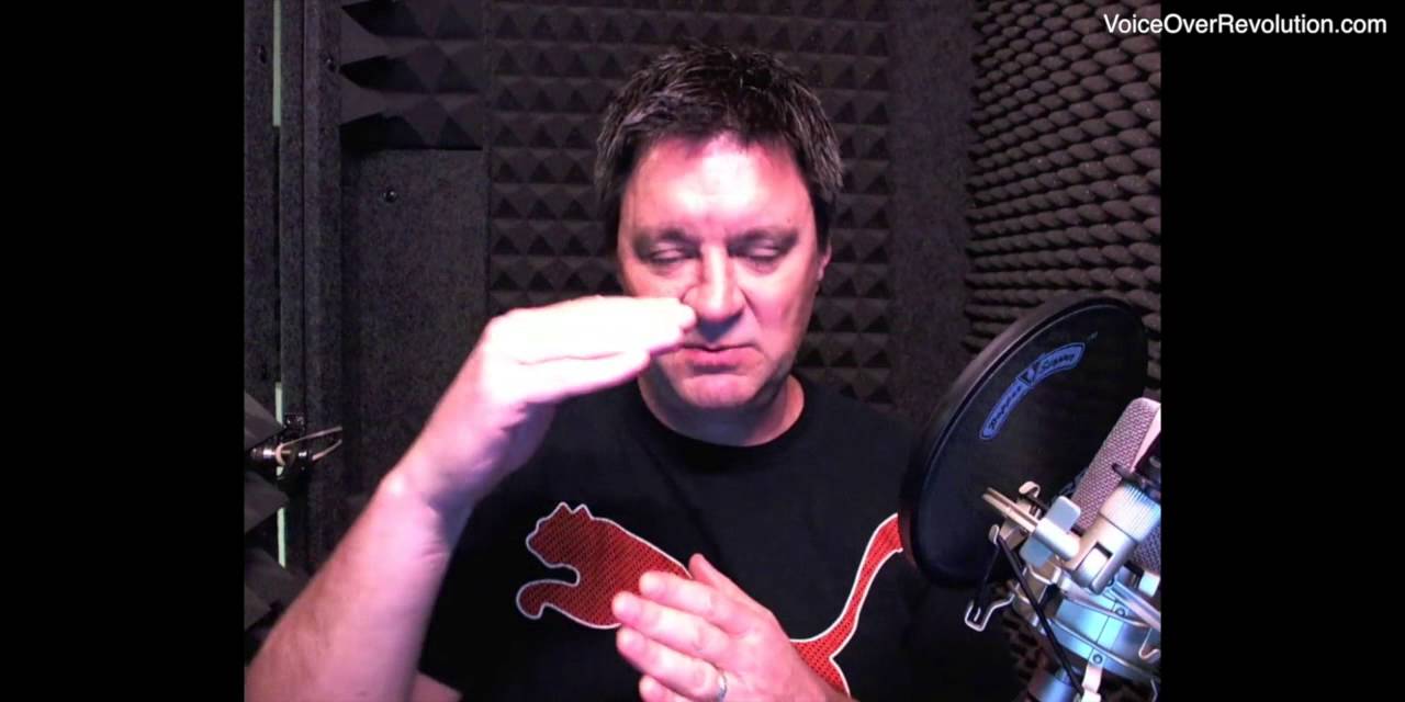 Finding Your Voice Over Niche
