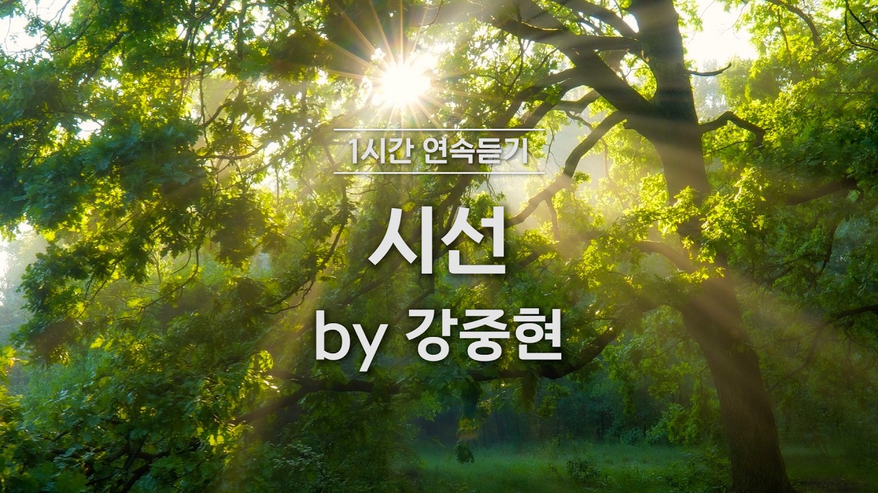 [1시간반복 듣기]  시선 by 강중현