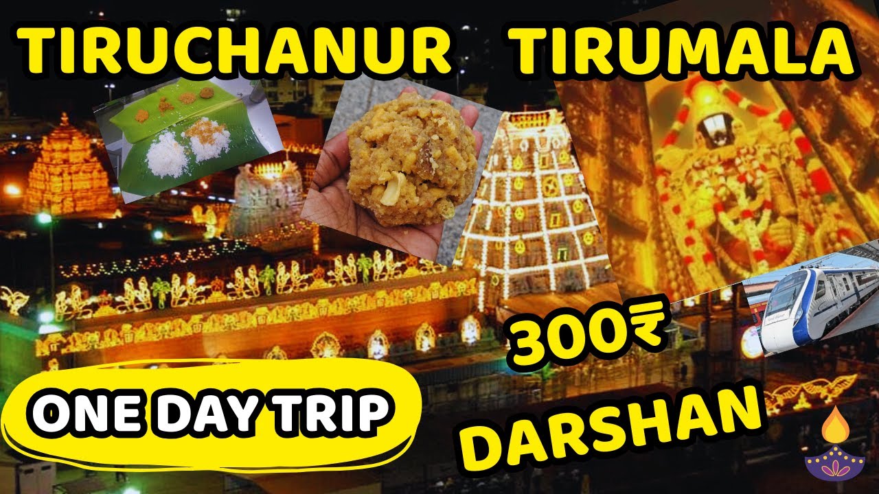 MY TIRUPATI BALAJI 300₹ TICKET NETRA  DARSHAN ONE DAY TRIP  EXPERIENCE | LATEST FULL  INFORMATION  