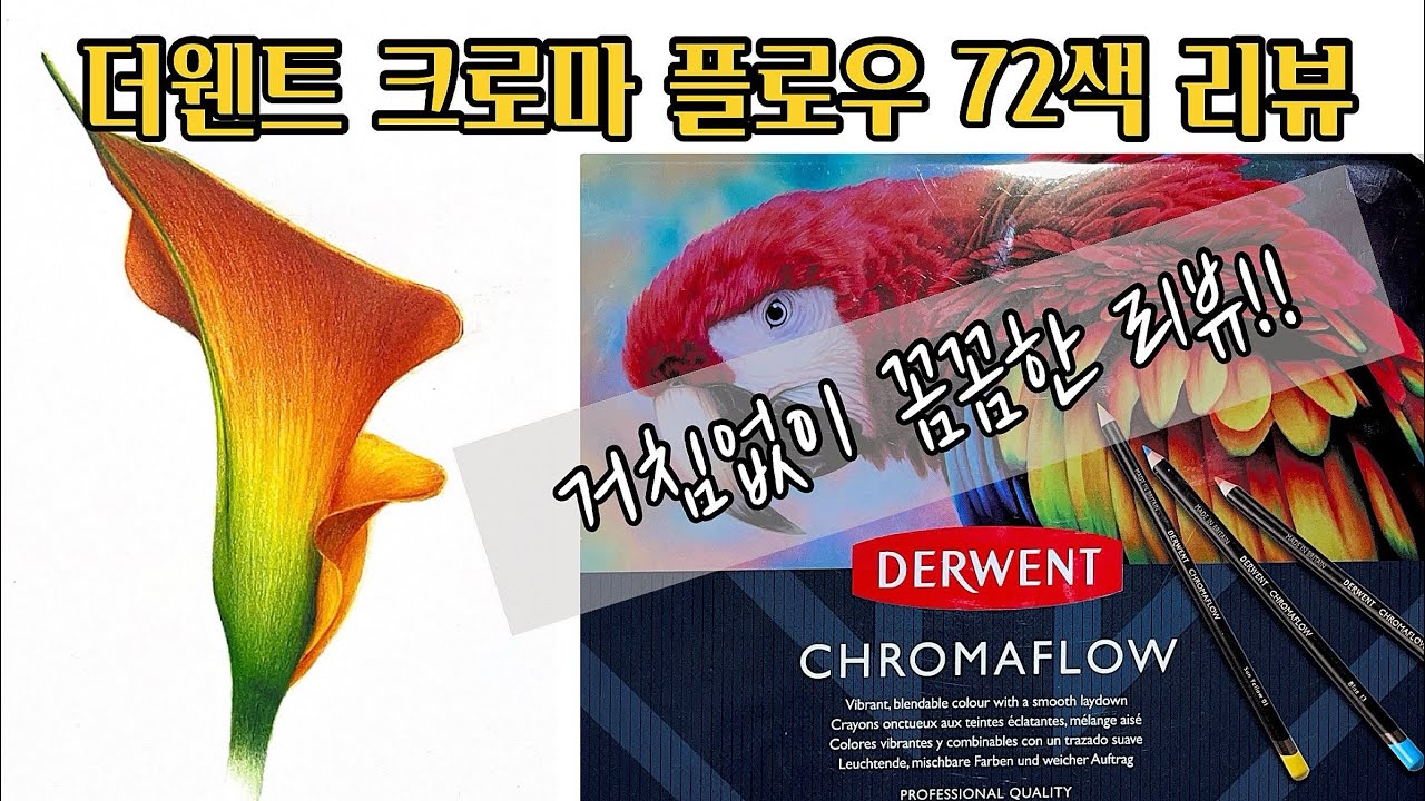 더웬트 크로마플로우 72색 색연필 리뷰/카라꽃 그리면서 꼼꼼하게 리뷰해봤습니다!!/colored pencils botanical art