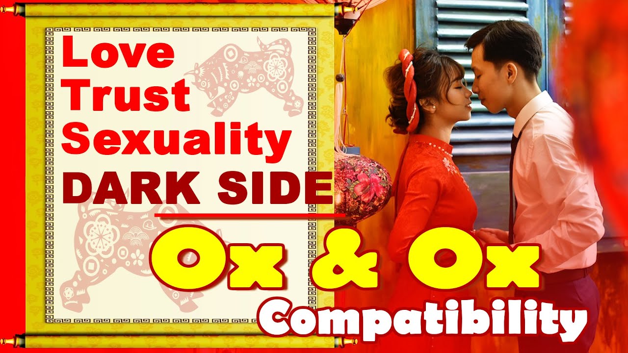 Ox and Ox Compatibility in Love, Life, Trust, and Intimacy | Ox and Ox Chinese Zodiac Compatibility