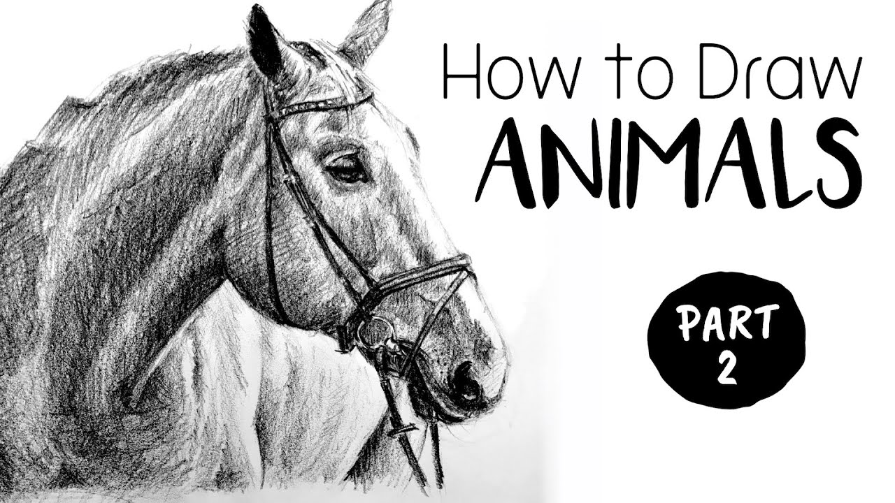 How to Draw & Sketch Animals - Part 2