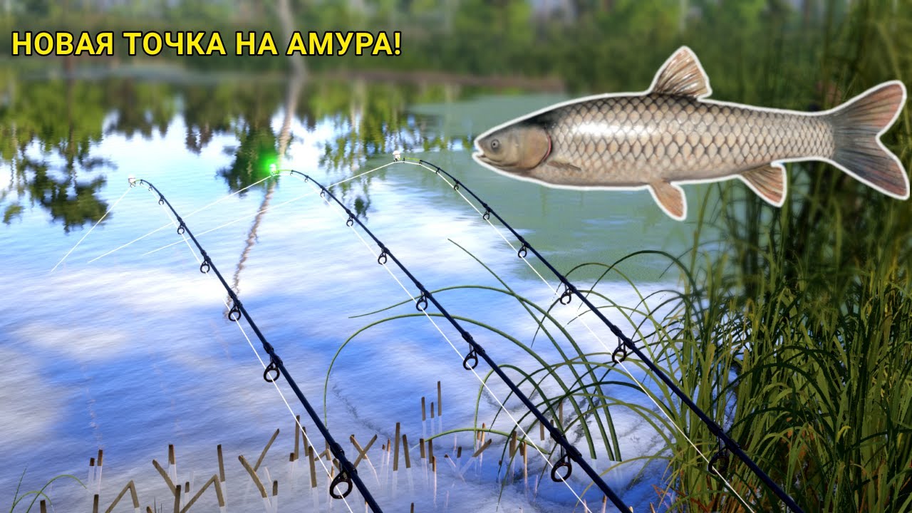 НОВАЯ ТОЧКА НА АМУРА! НА СКОЛЬКО ОНА ХОРОШАЯ?!