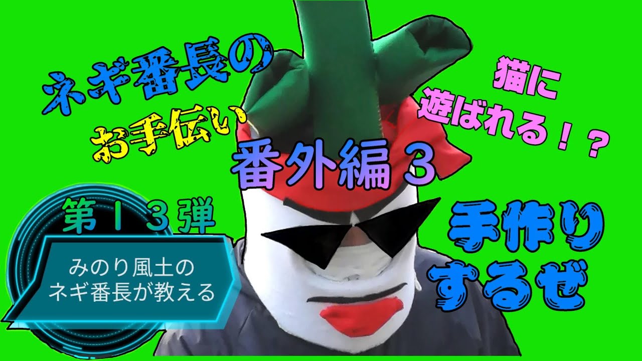 ⑬ネギ番長が影からお届けする【こんなこともありました番外編３】