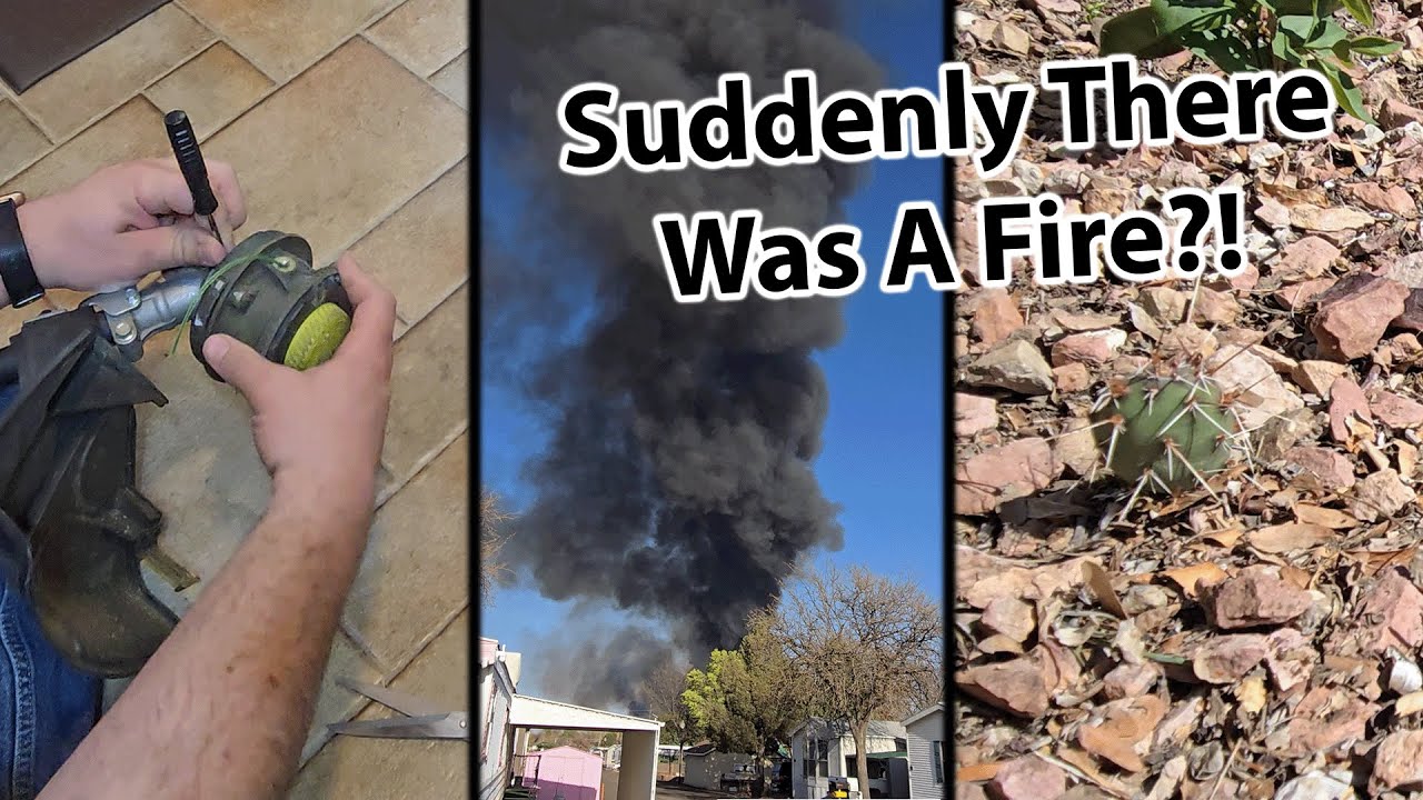Wild Events While Helping Family Clean Their Yard