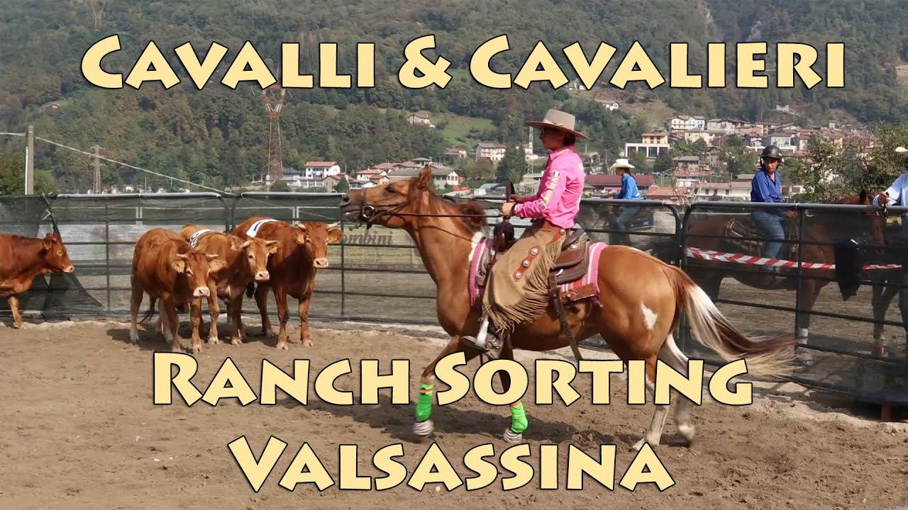 Rodeo Ranch Sorting Valsassina