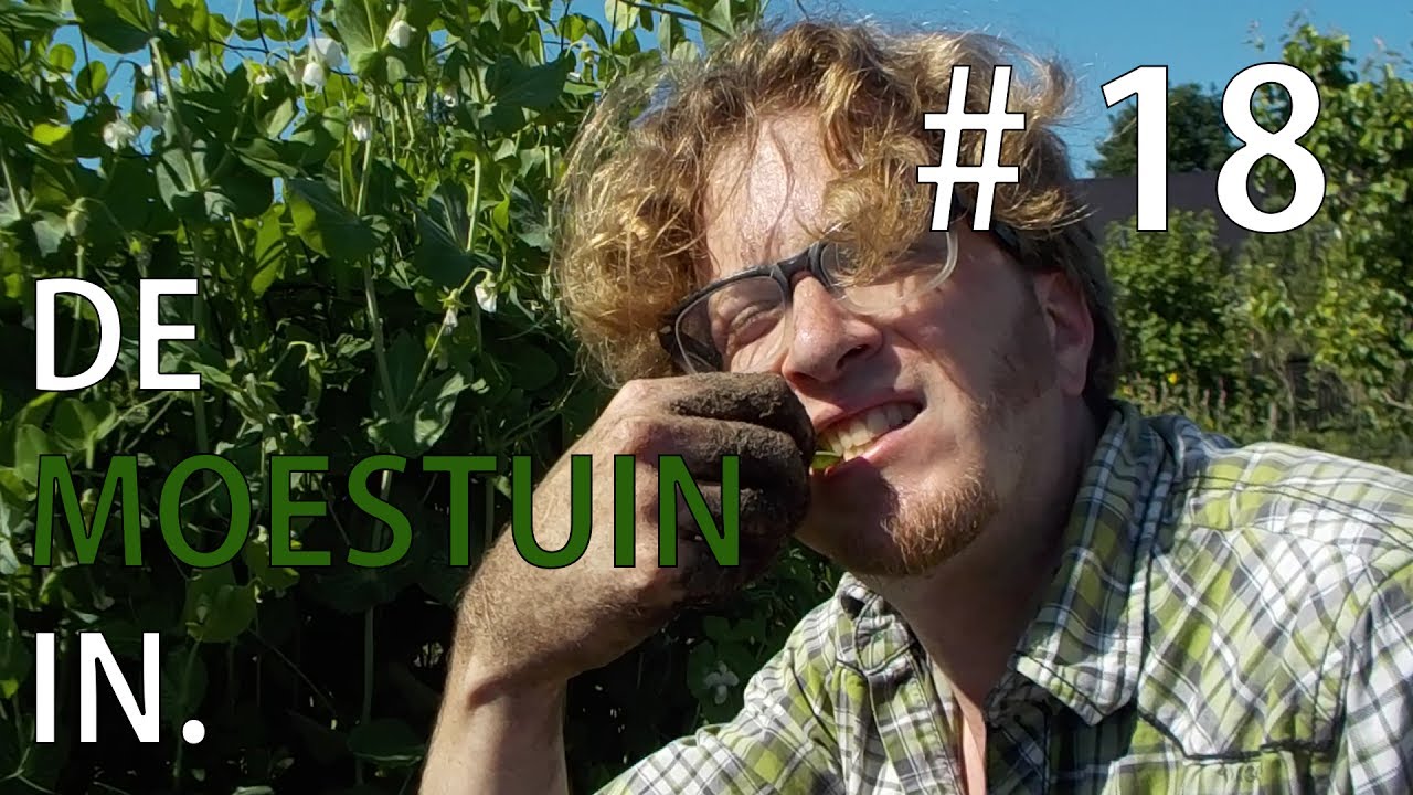 De Moestuin In. Vlog #18 -  Over het slakkenprobleem