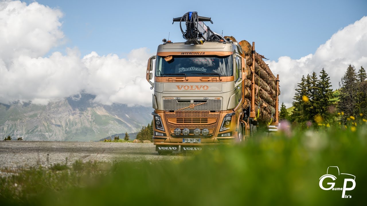 VOLVO FH16 650 🚚💨🌲 GRUMIER FRIEDERICH (TRANS BF)