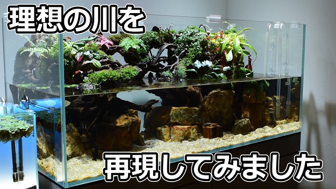 120㎝アクアテラリウムに大量の植物を植栽する【アクアリウム】【アクアテラリウム】