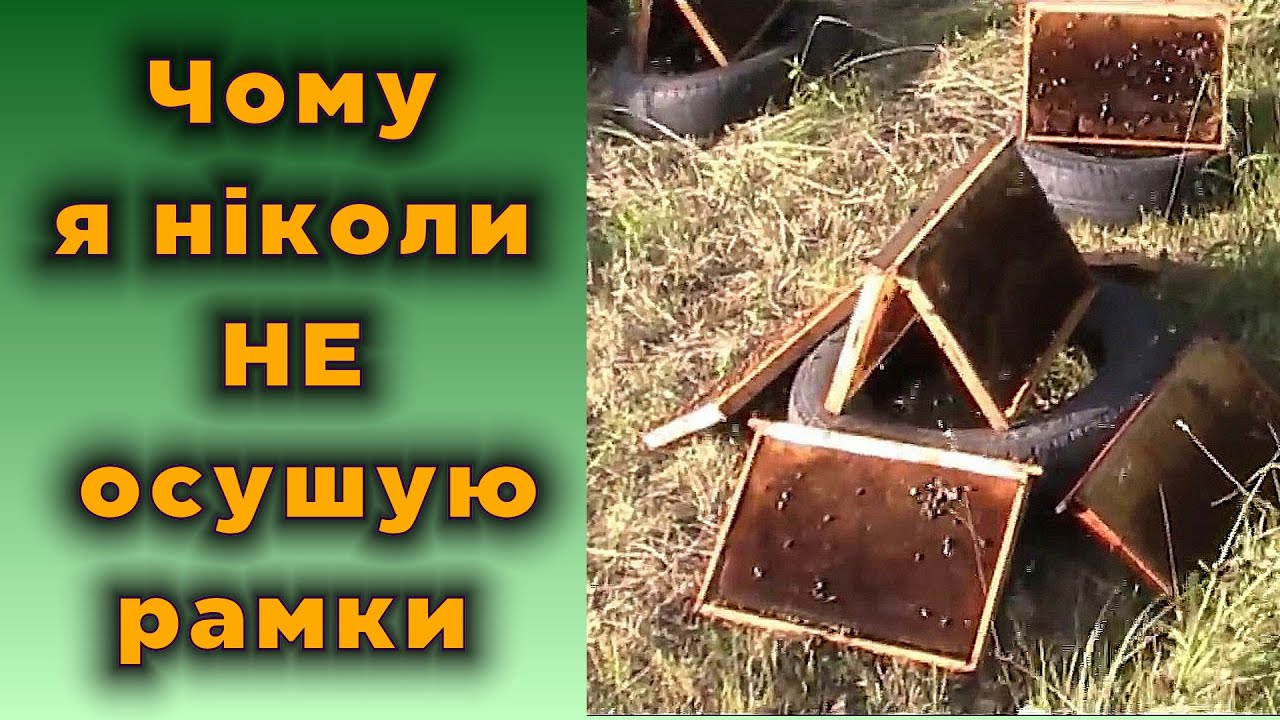 Осушка рамок після відкачки, «ЗА» та «ПРОТИ»