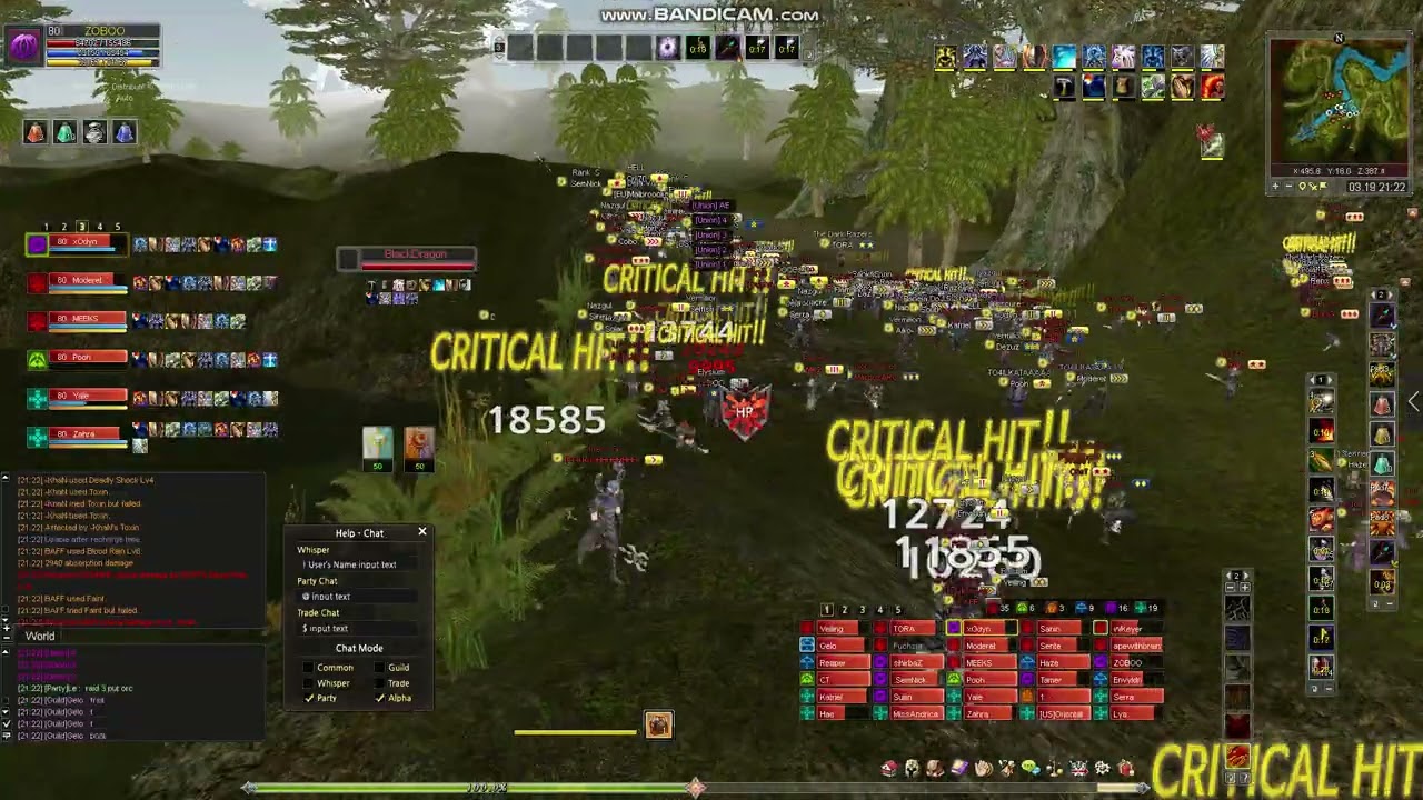 Shaiya 80 jungle easy won part 1